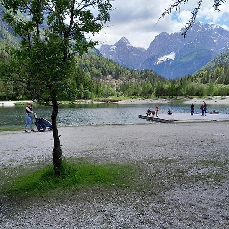 Les Chalet Kranjska Gora Duplex Екстериор снимка
